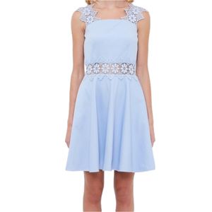 16. Ted Baker London Monaa Blue Lace Perinwinkle Dress
